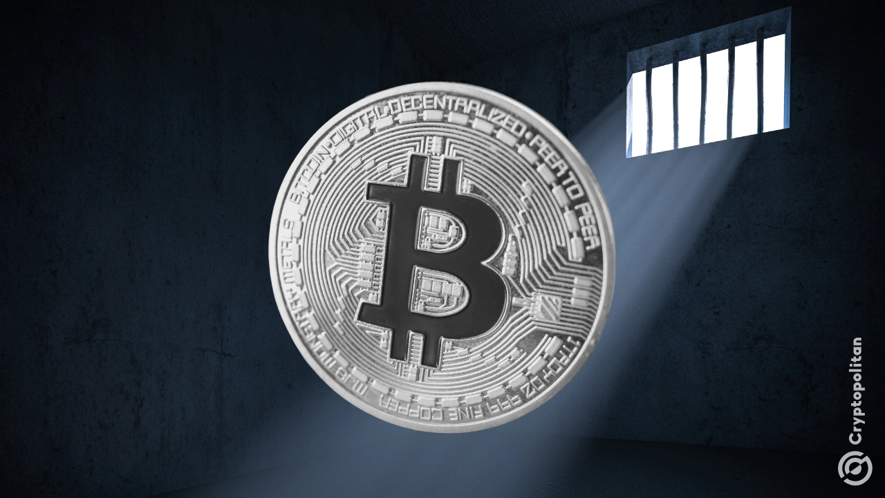 AML Bitcoin founder gets 7 years jail for 10M fraud