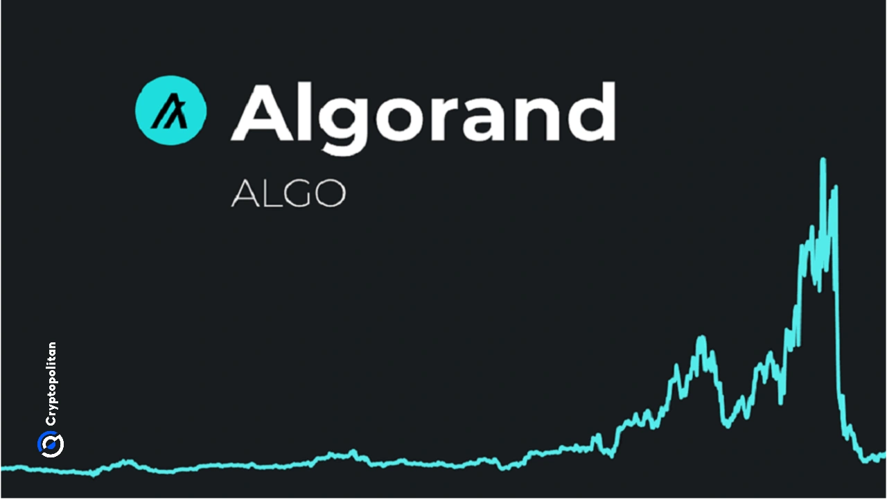 Algo prediction