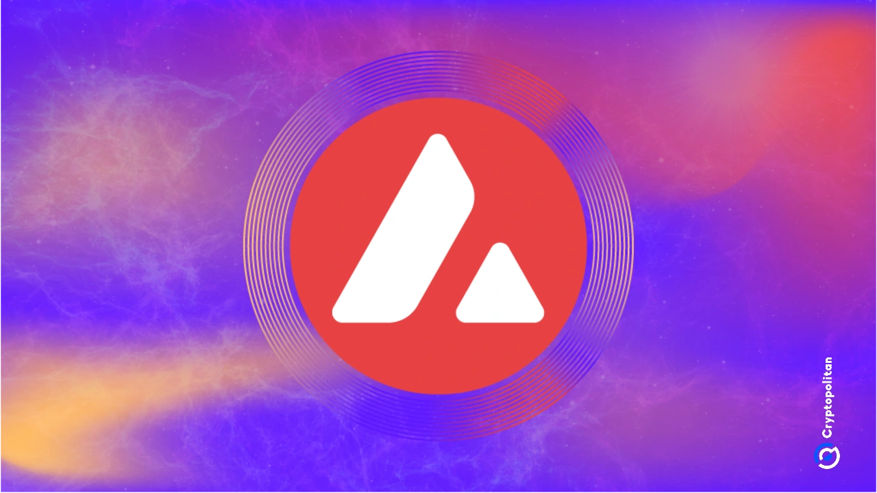 Avalanche prediction