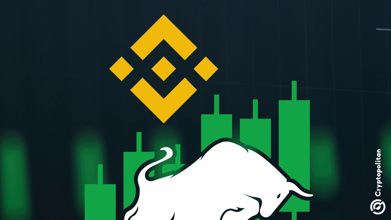 BNB rises to price discovery zone on new treasury announcements