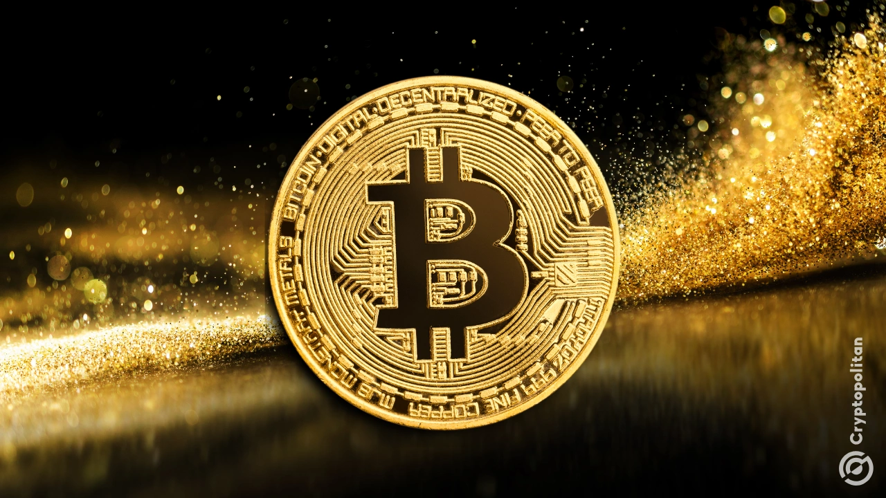 Bitcoin ownership saw a major shift in 2024