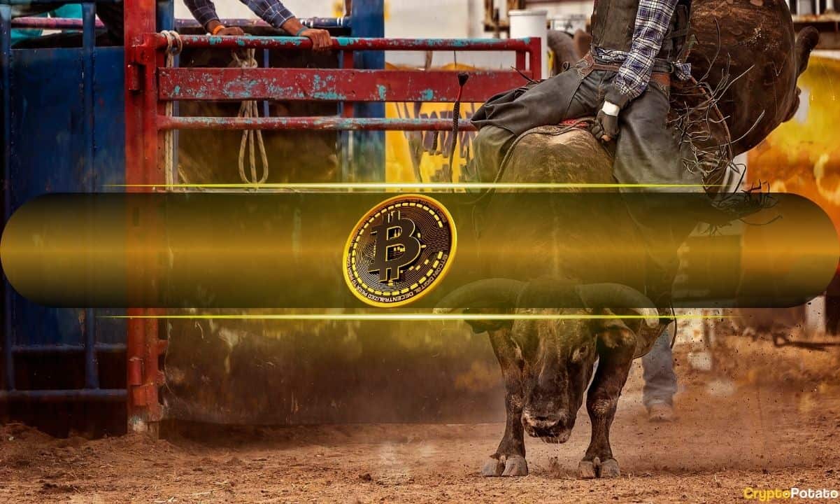 Bitcoin Bull 5