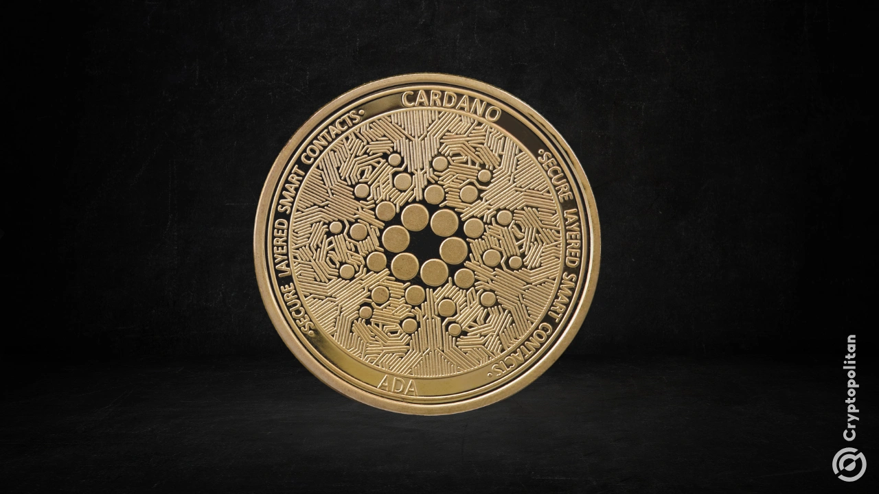 Cardanos Hoskinson promises transparent ADA audit