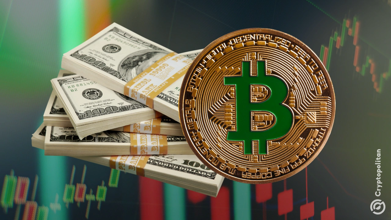 Crypto microloans surge amid Trump driven market revival