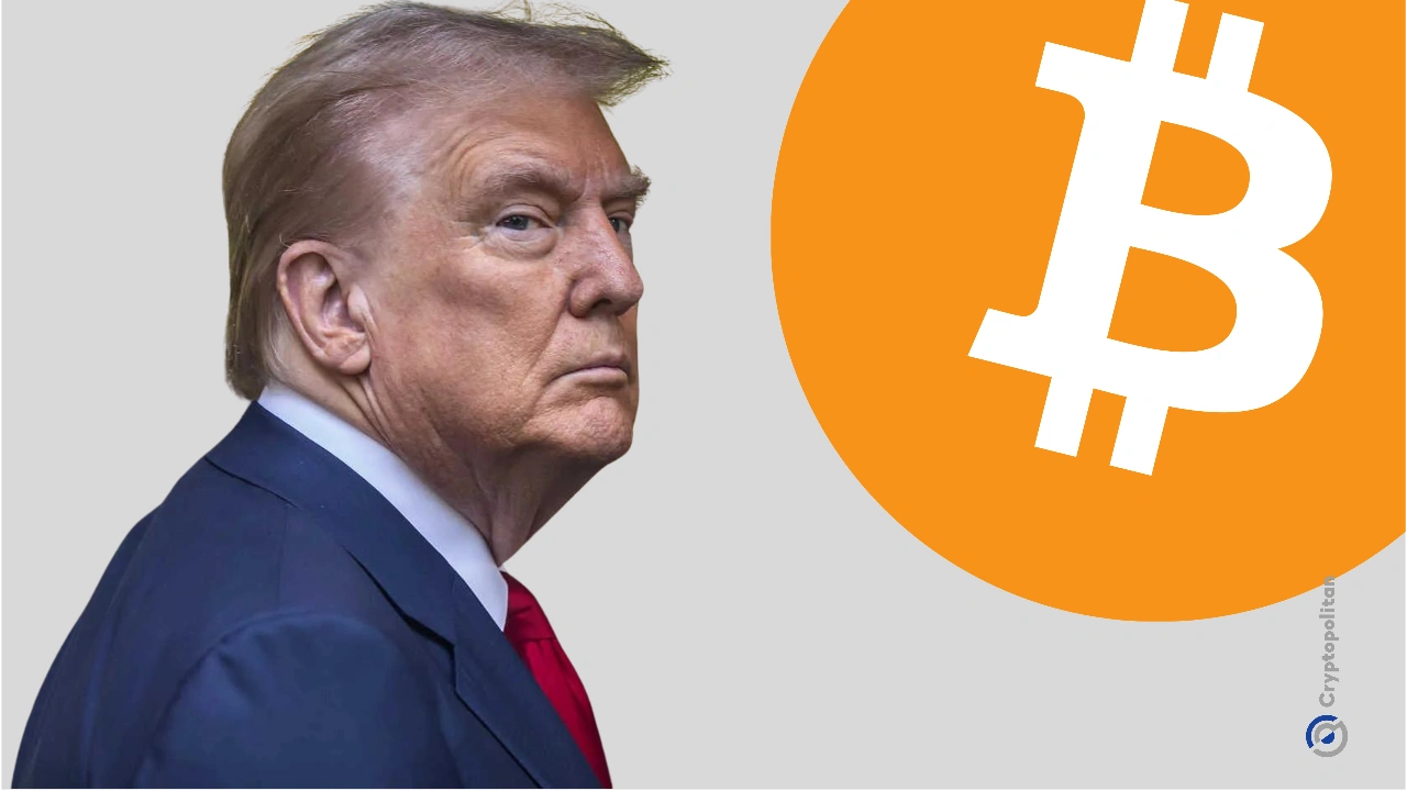 Donald Trump 5 1