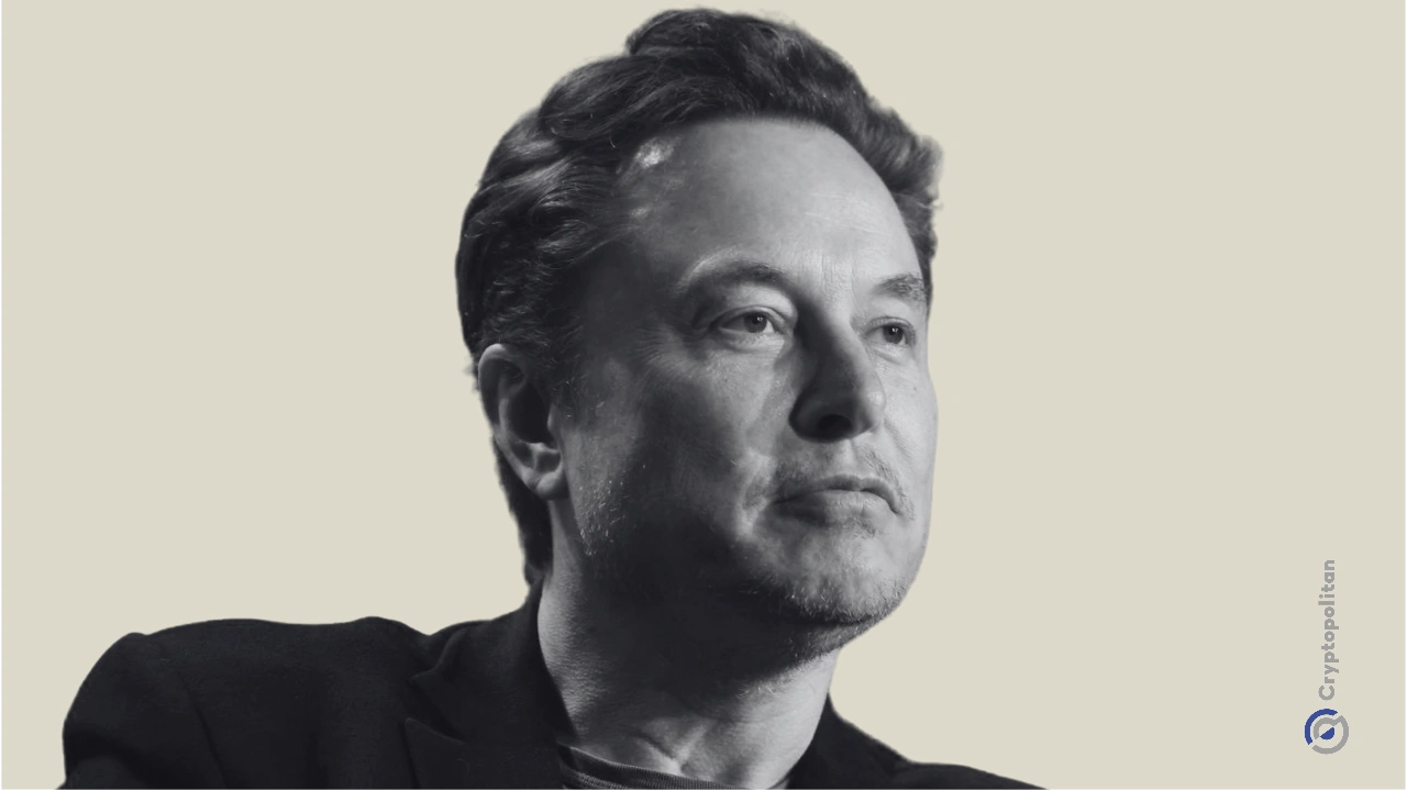 Elon Musk 7 1