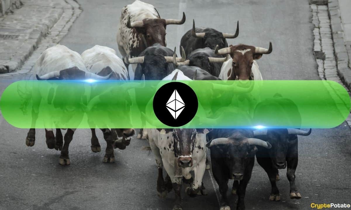 Ethereum Bulls 3