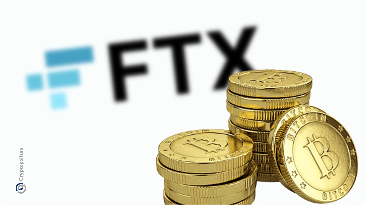 FTX 3