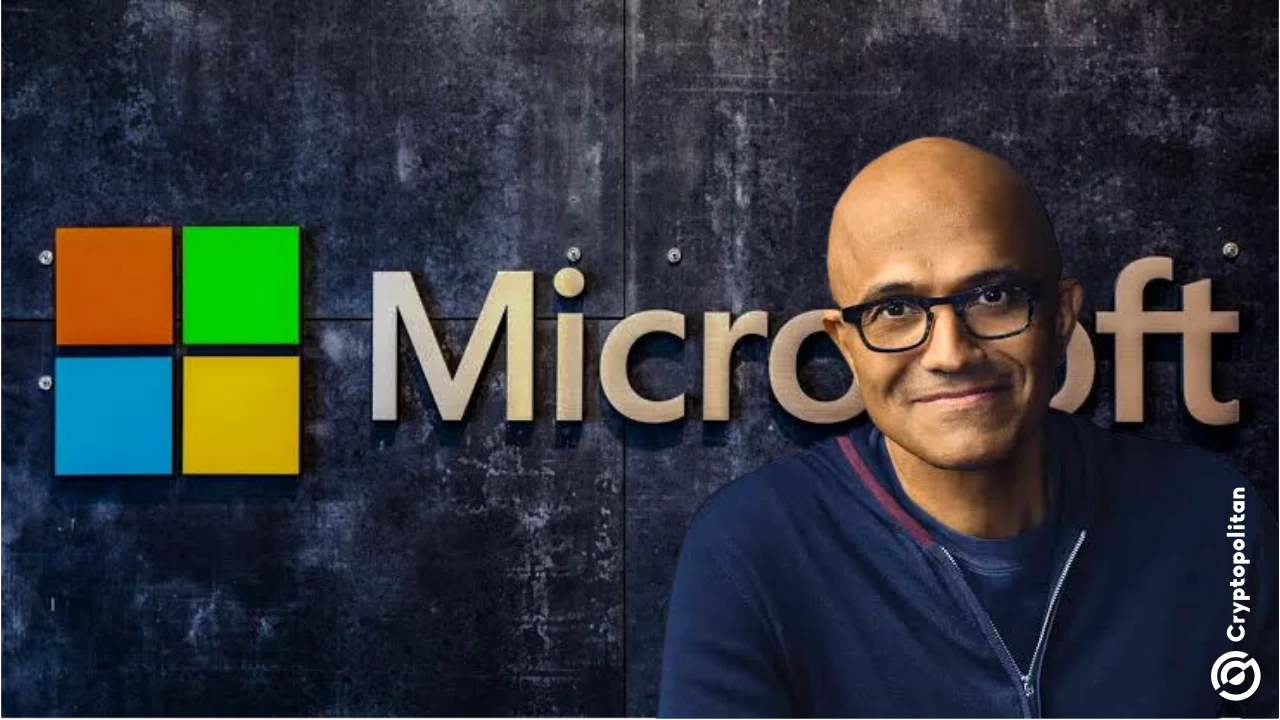 Microsoft CEO Nardella