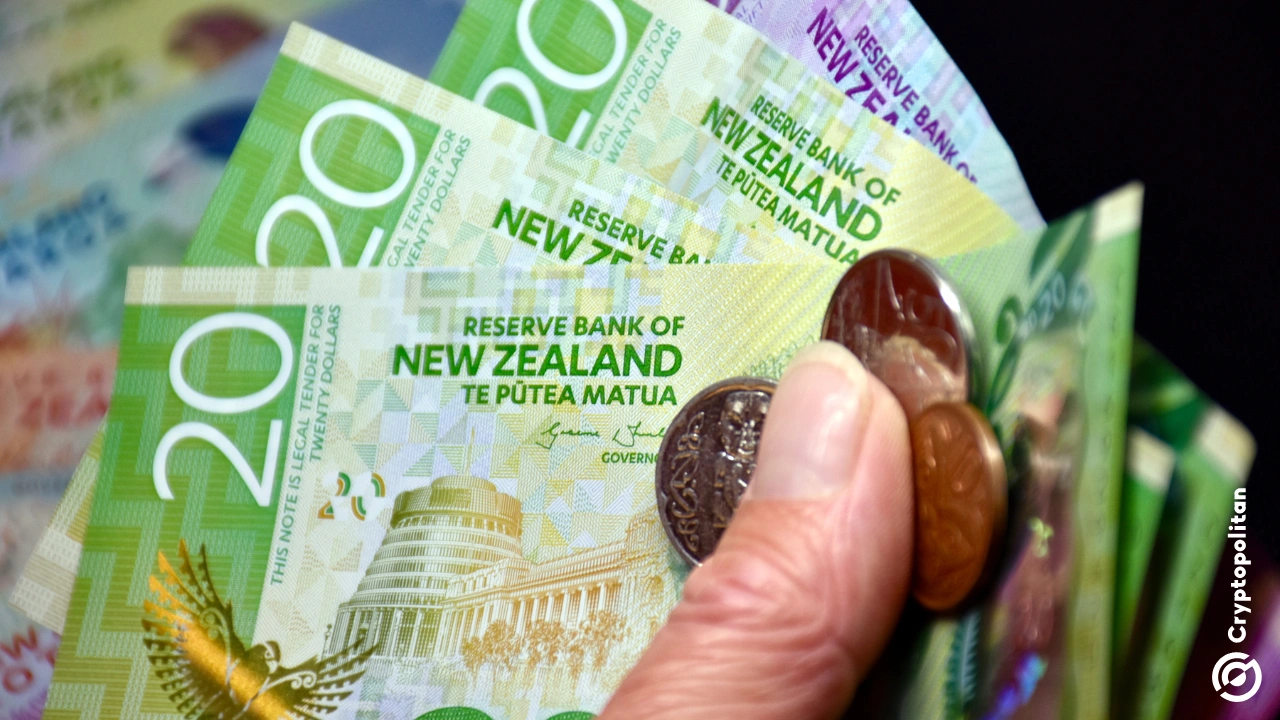 New Zealands Sharesies enters crypto trading amid market rally