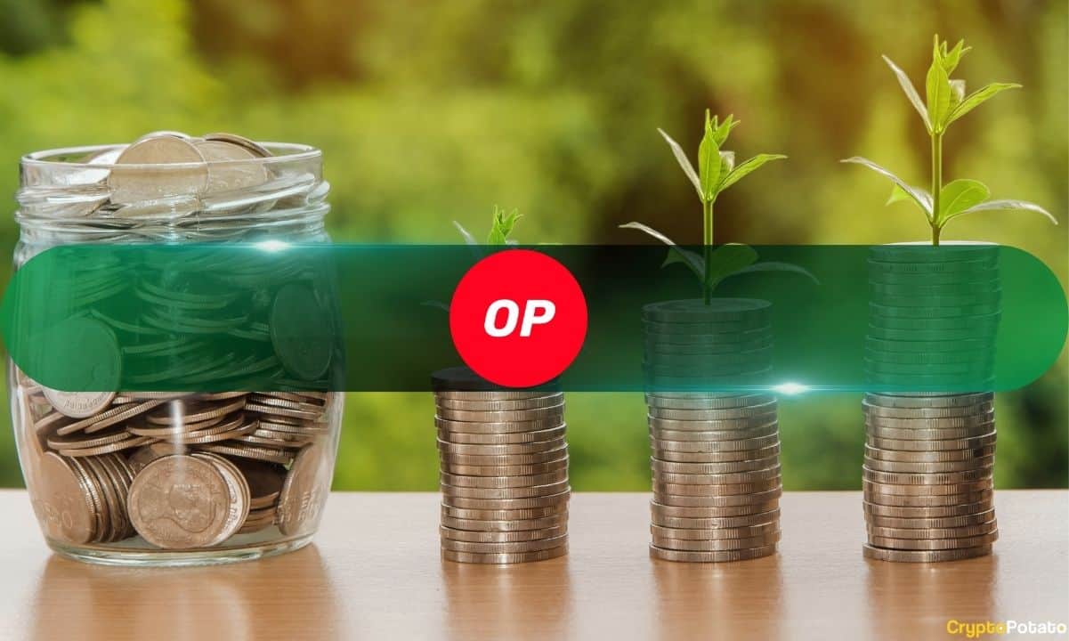 Optimism Profit 1