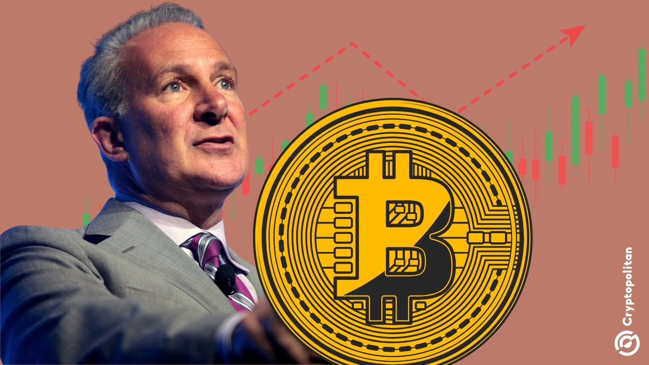 Peter Schiff Bitcoin