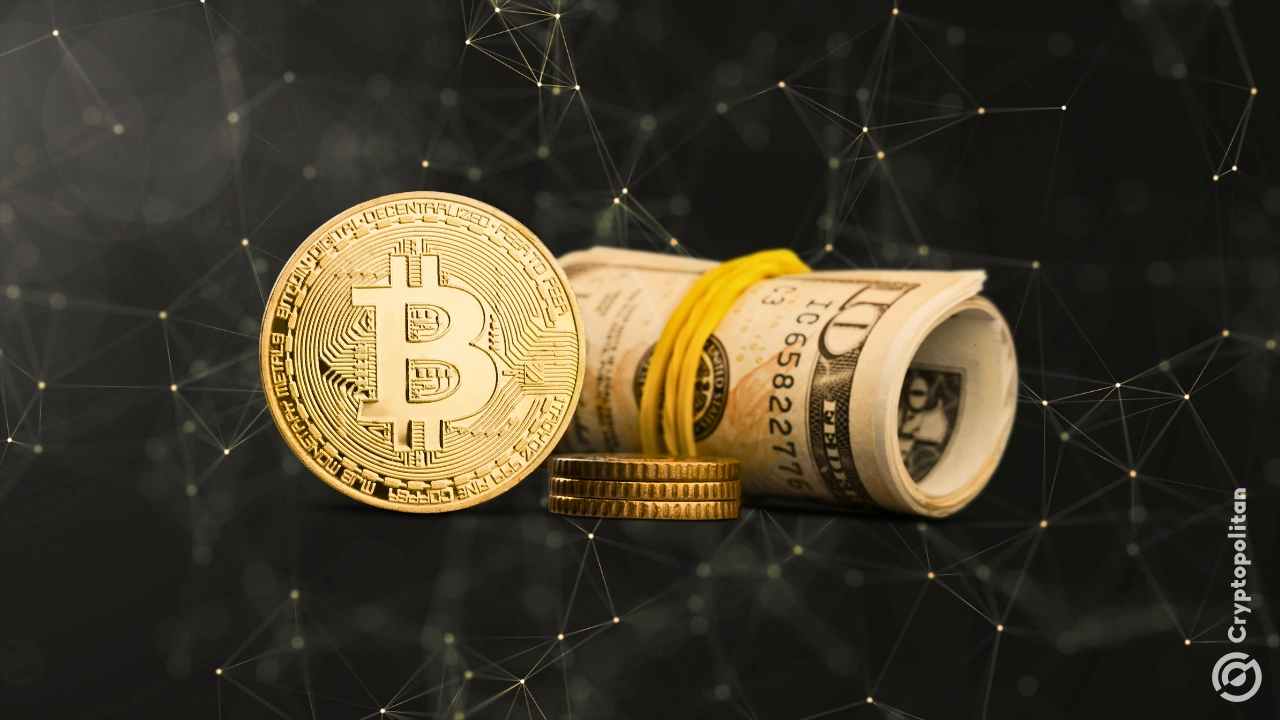 Public company crypto holdings