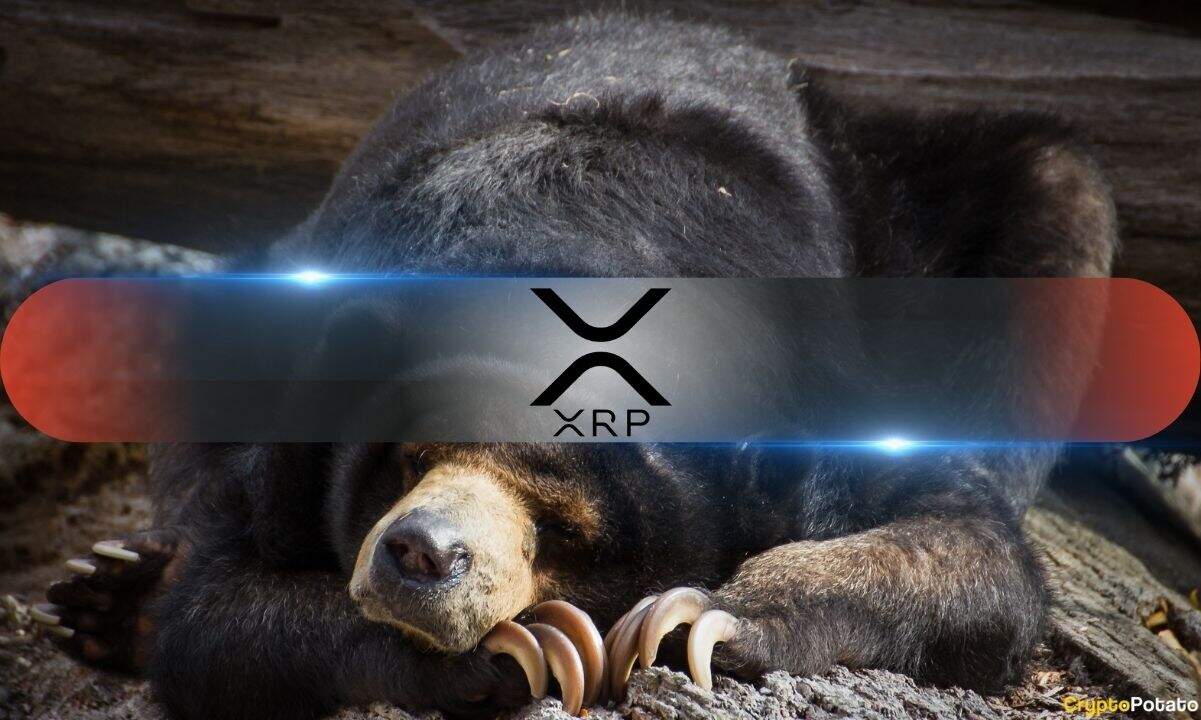 RIppleXRP Bear
