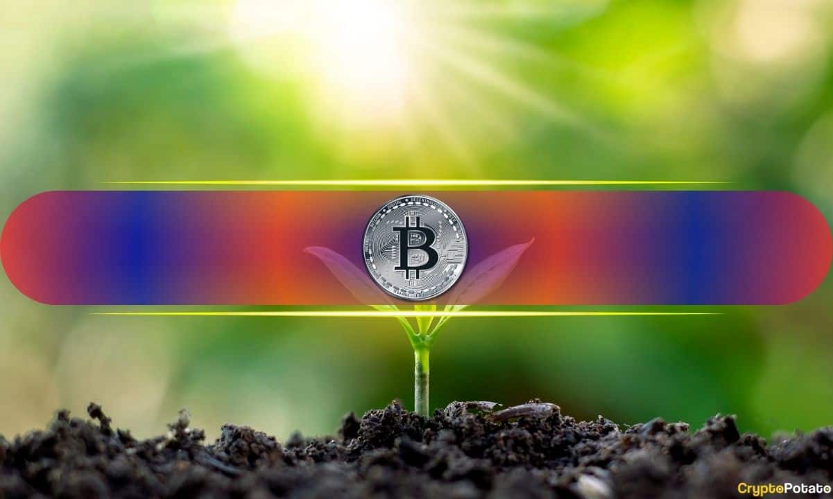 bitcoin beginning cover