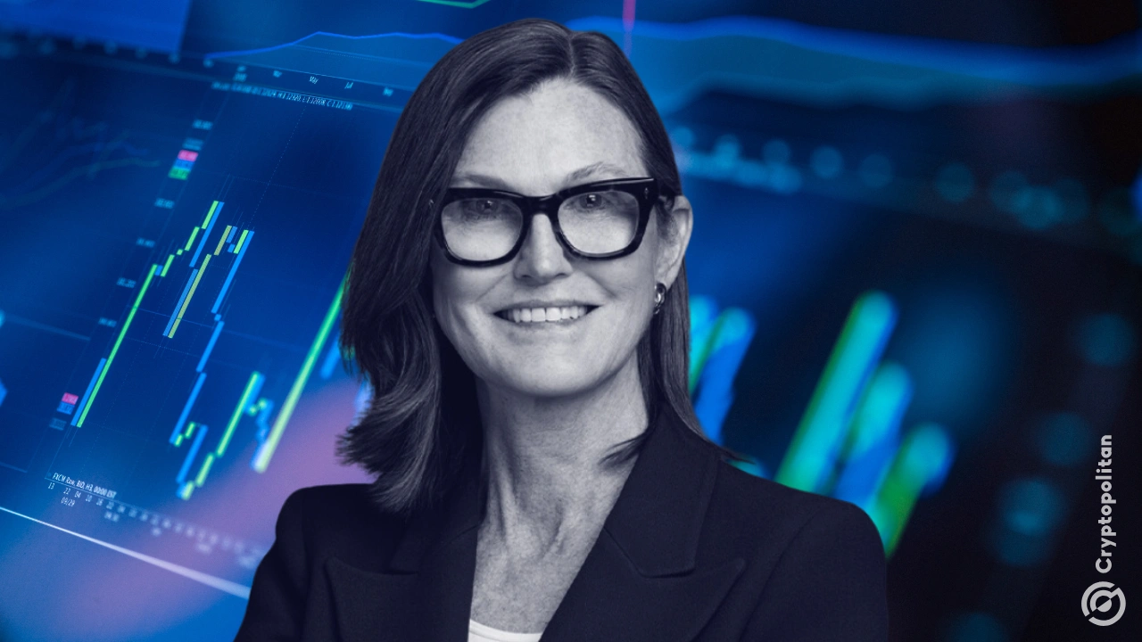 cathie wood picks loophole buy crypto