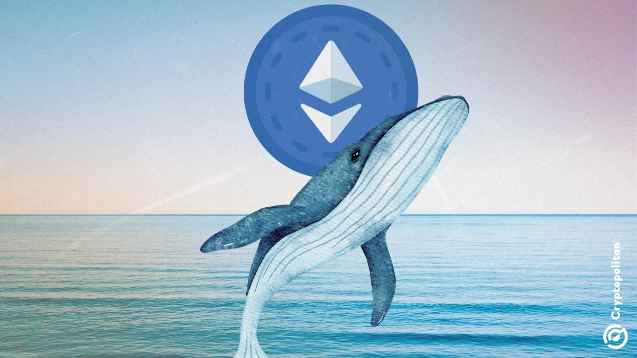 eth whale