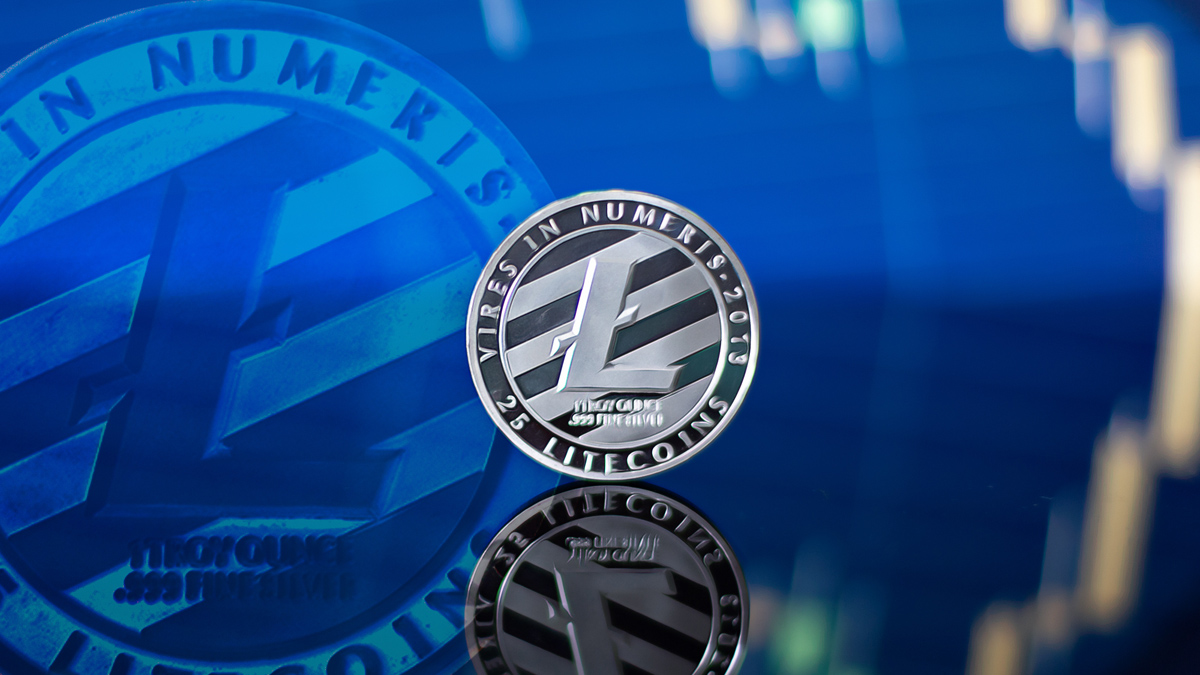 Litecoin Surges Over 11% in 24 Hours: Key Drivers and Indicators