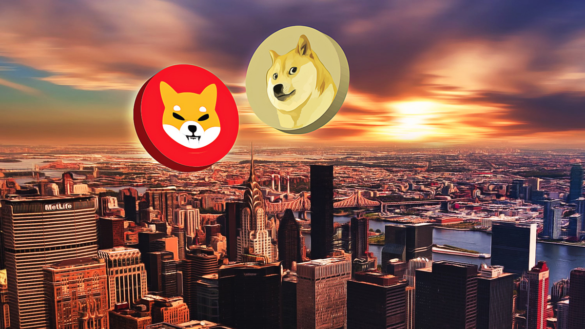 Watch Meme Coins Take a Plunge as Market Volatility Strikes