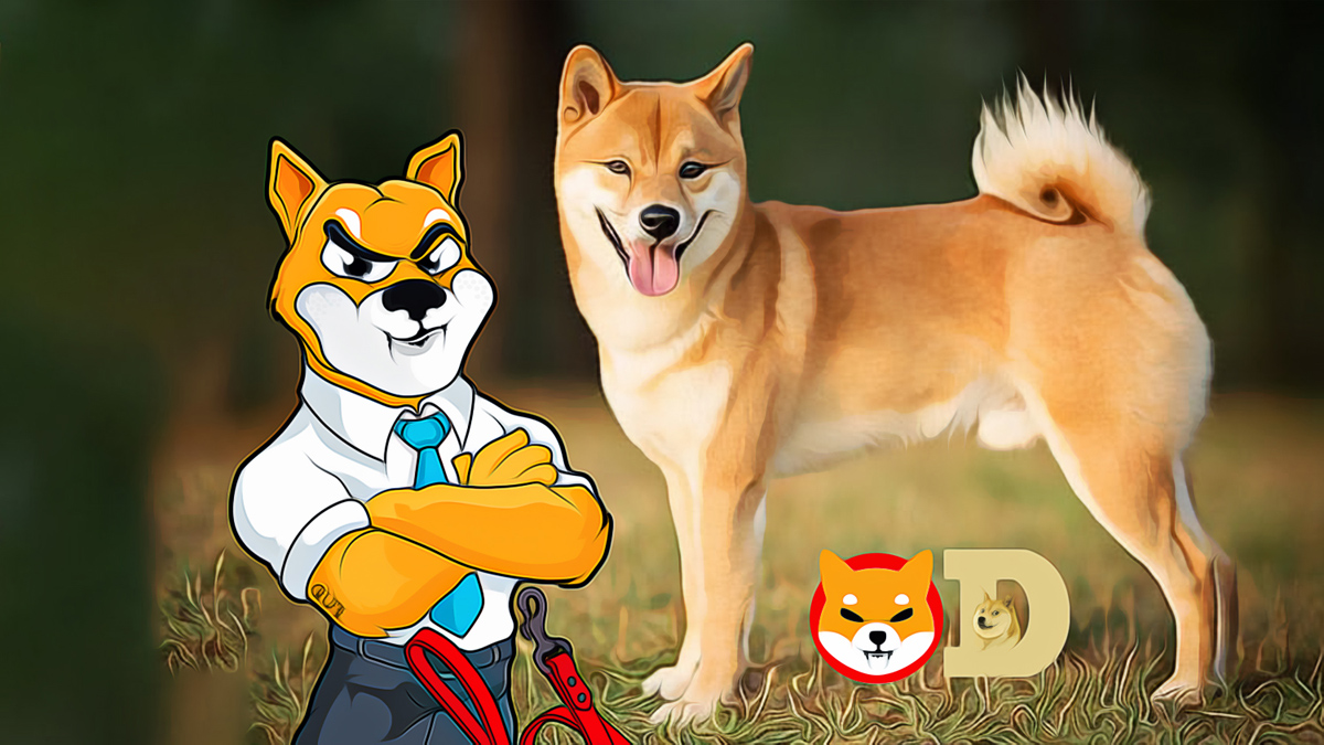 Shiba Inu Community Demands Leadership Shift Before Elections