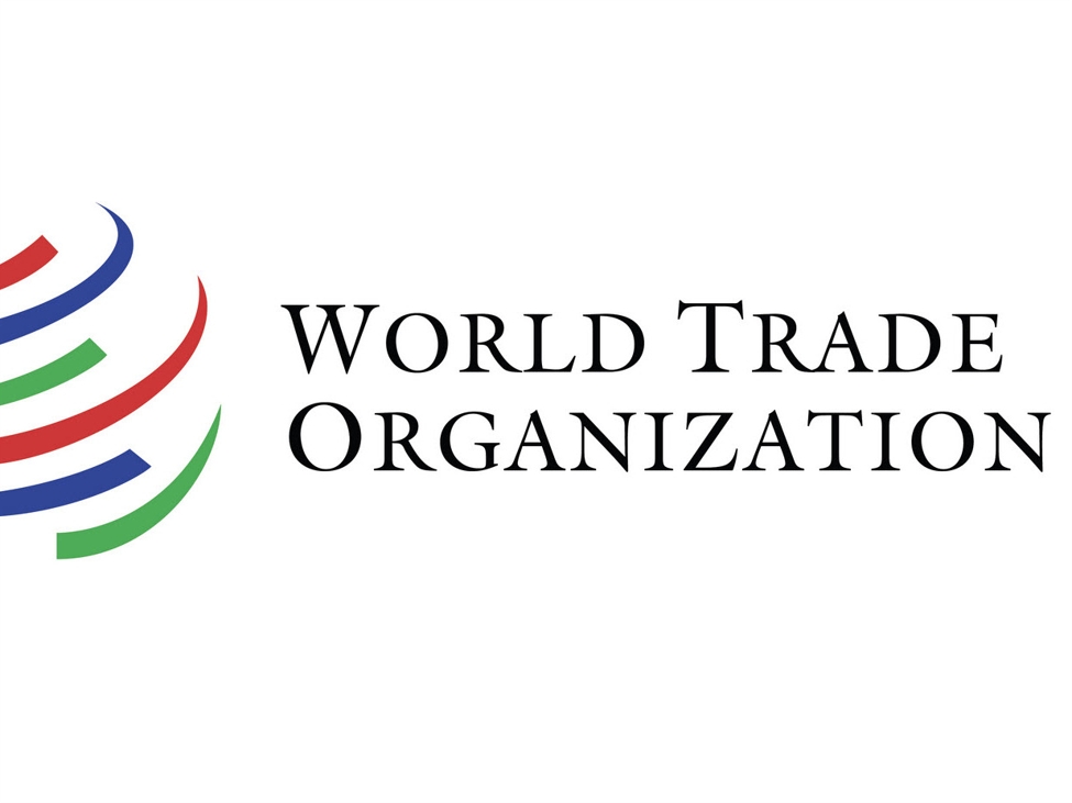 WTO id 157c2399 f35c 4107 91e9 7aa3db96835e size975 2