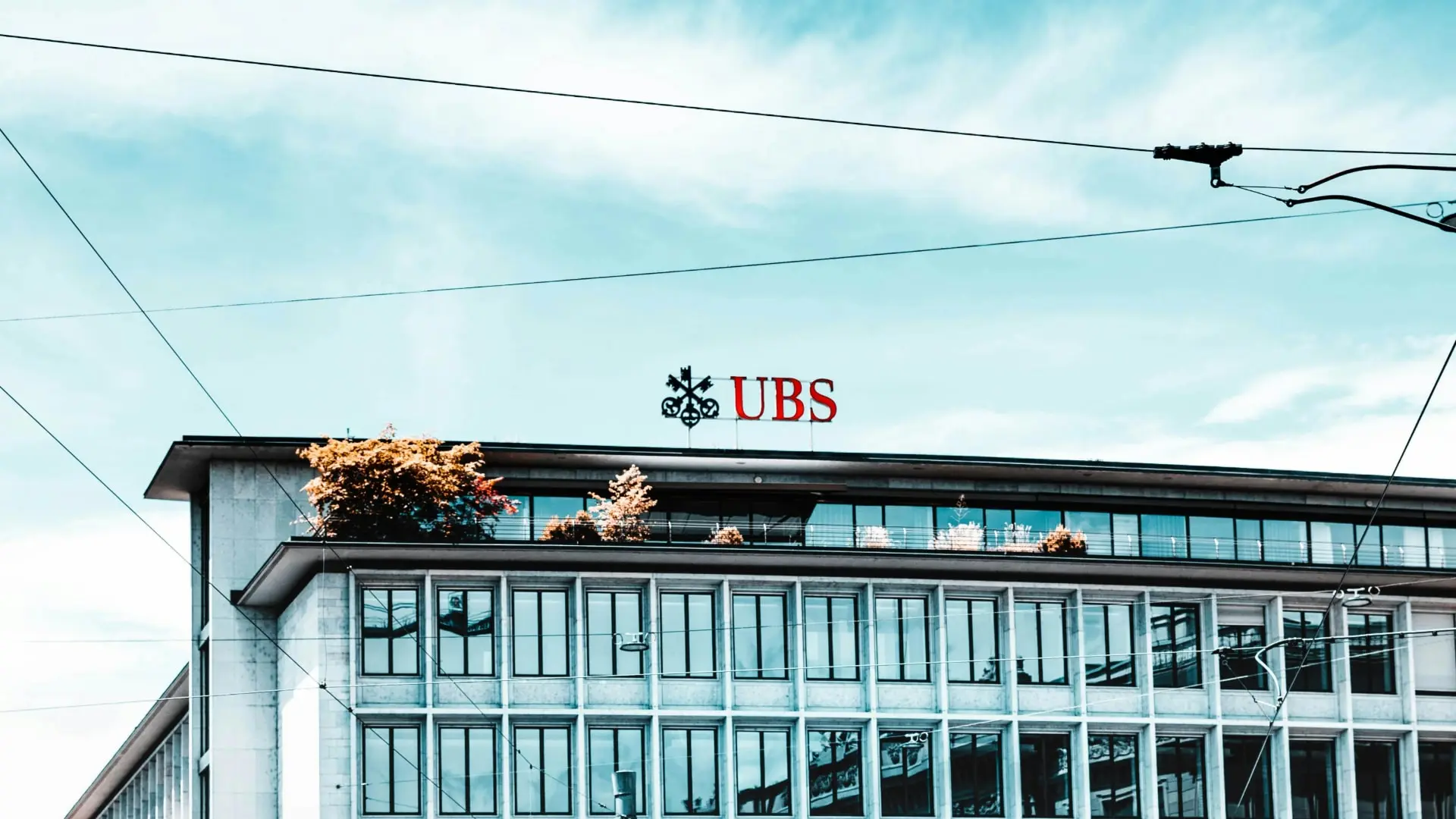 Adobe Express file 2025 11 17T121253.319 min 1