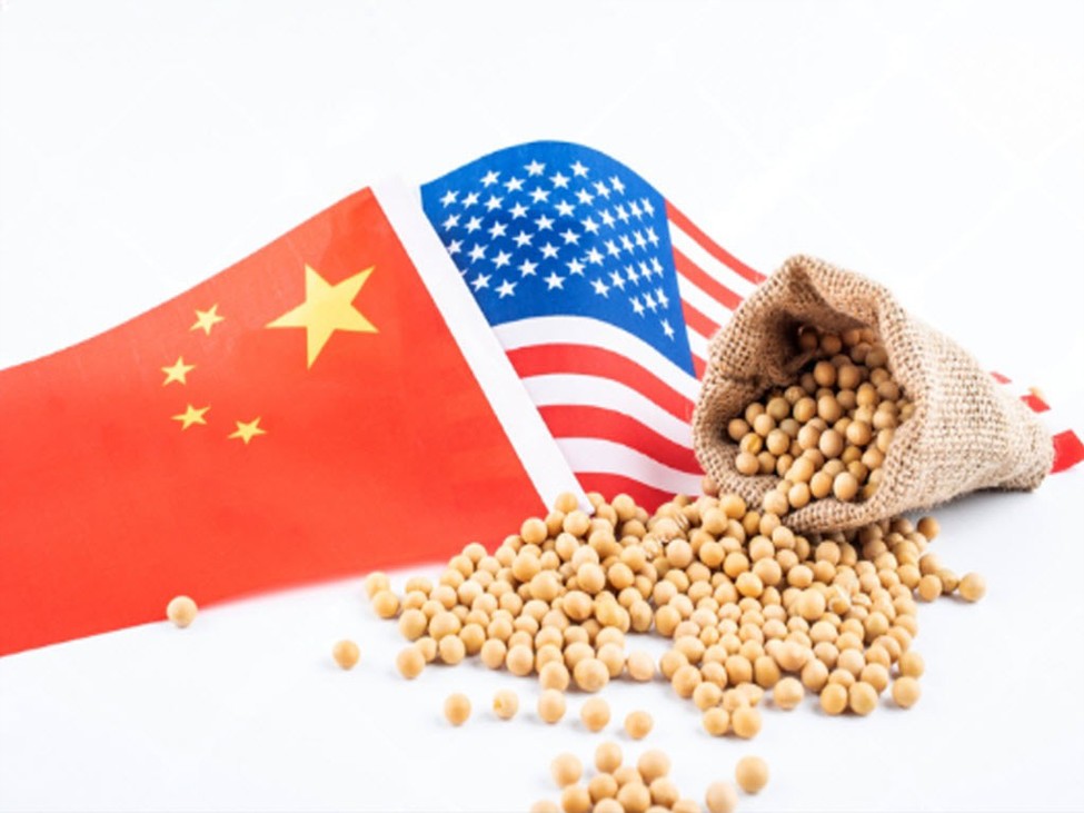 US20China20soybeans id d04643b5 c8a1 4a9c b7f7 4d7602ee44f7 size975