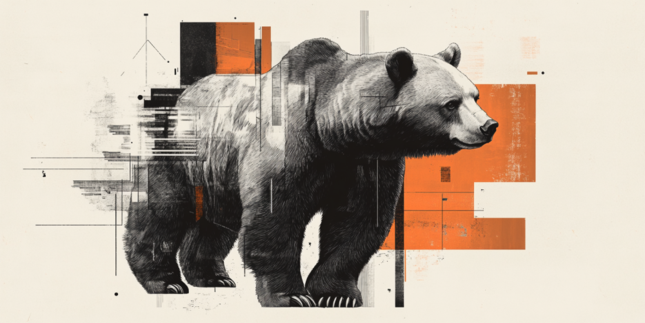 bearish realist Medium