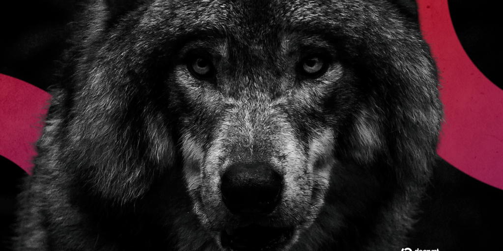 decrypt style wolf1 gID 7