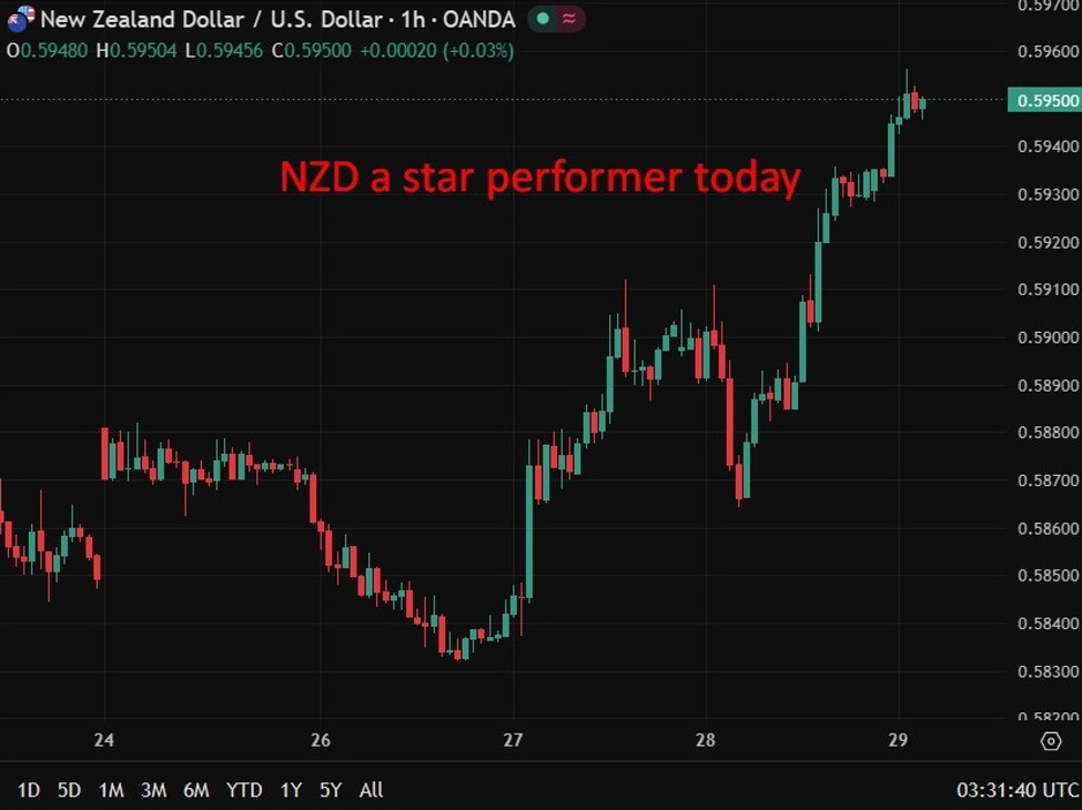 nzd20wrap202920May202026 id cd829e51 2420 424b a85e 71a80dfce224 size975
