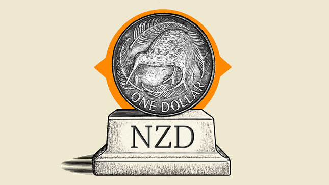 coin frontal pedestal nzd Medium